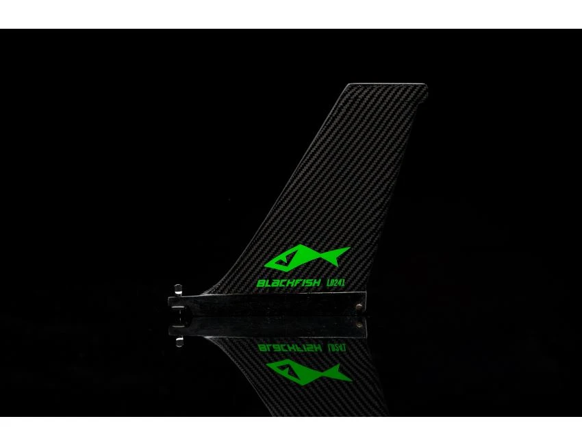 Aileron SUP - LD 241 4 Aileron SUP - LD 241 – Image 2