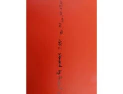 Fluid - 11'6 -Vague Surfing Oceane Boutique fluid nahskwell 14