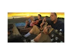 GoPro Removable Instrument Mounts -Vague Surfing Oceane Boutique gopro removable instrument mounts 13