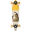 Globe Pintail 34 Falcon