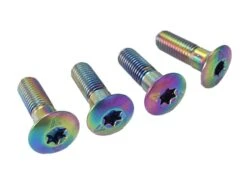 Vis 25mm M7 316 L Stainless Screw Set