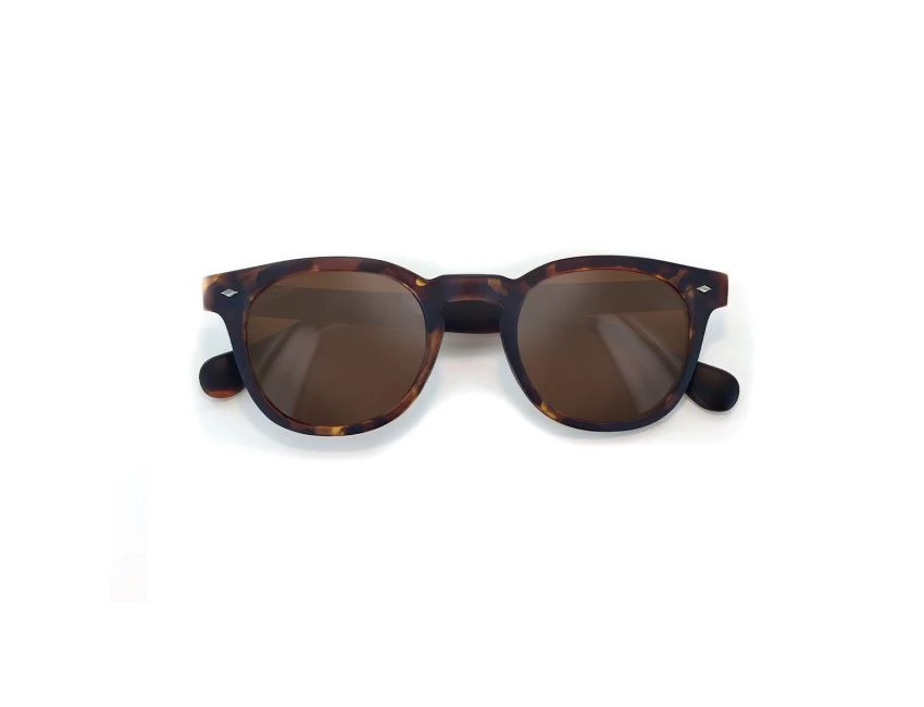 Woody Tortoise Cork Polarized 4 Woody Tortoise Cork Polarized – Image 2
