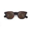 Woody Tortoise Cork Polarized -Vague Surfing Oceane Boutique woody tortoise cork polarized moken vision