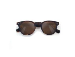 Woody Tortoise Cork Polarized