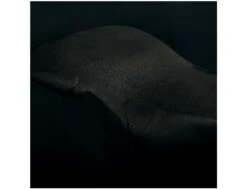 Manera X10D Boots - 3mm - Split Toe - 2023 -Vague Surfing Oceane Boutique x10d boots 2022 manera 16